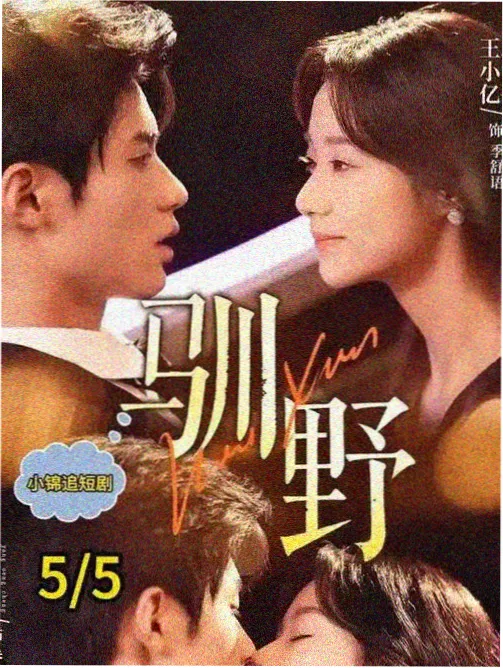 白夜追凶 经典悬案剧